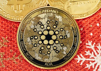 Wat is Cardano en waarom is het zo populair?